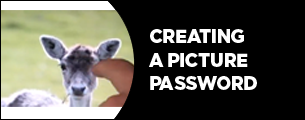 picture password